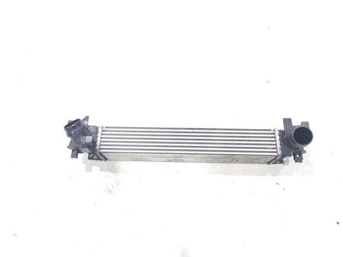 Usados Intercooler BMW 2 serie Active Tourer (F45) 218i 1.5 TwinPower Turbo 12V Precio € 149,00 Norma de margen ofrecido por GEJO Revisie & Onderdelen BV