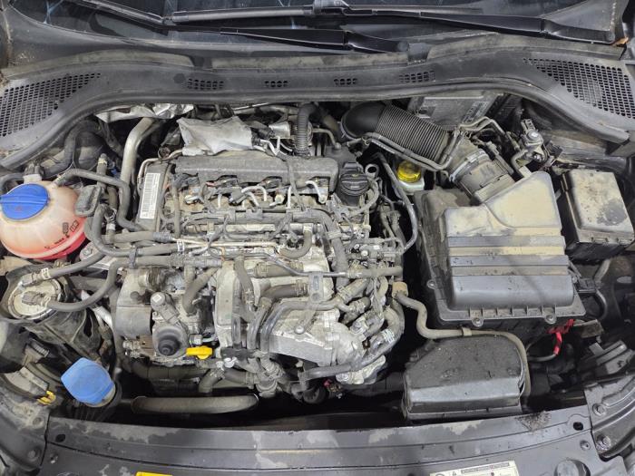 Used Engine Skoda Rapid 1.6 TDI 16V Price € 1.800,00 Margin scheme offered by GEJO Revisie & Onderdelen BV