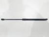Audi A3 Sportback (8VA/8VF) 1.4 TFSI 16V e-tron Gasdämpfer rechts hinten