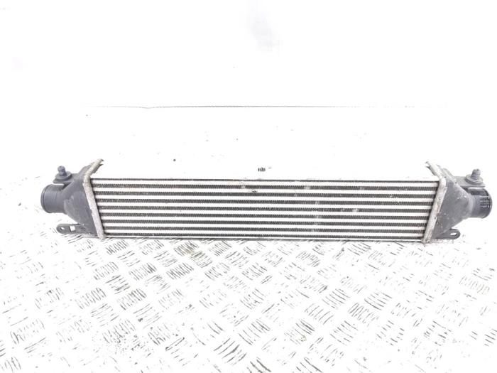 Usados Intercooler Fiat Doblo Cargo (263) 1.3 D Multijet Precio € 11,00 Norma de margen ofrecido por GEJO Revisie & Onderdelen BV