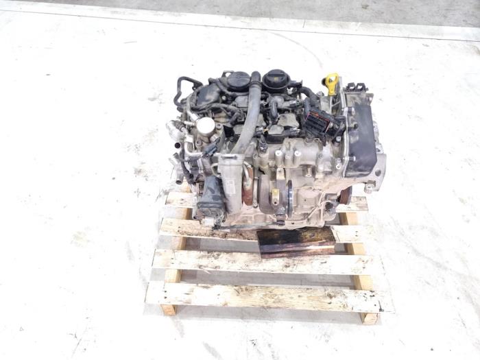 Usagé Moteur Volkswagen Tiguan (AD1) 1.5 TSI 16V Evo BlueMotion Technology Prix € 2.999,00 Règlement à la marge proposé par GEJO Revisie & Onderdelen BV