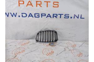 Used Grille BMW 1 serie (F20) 120d 2.0 16V Price € 35,00 Margin scheme offered by DagParts