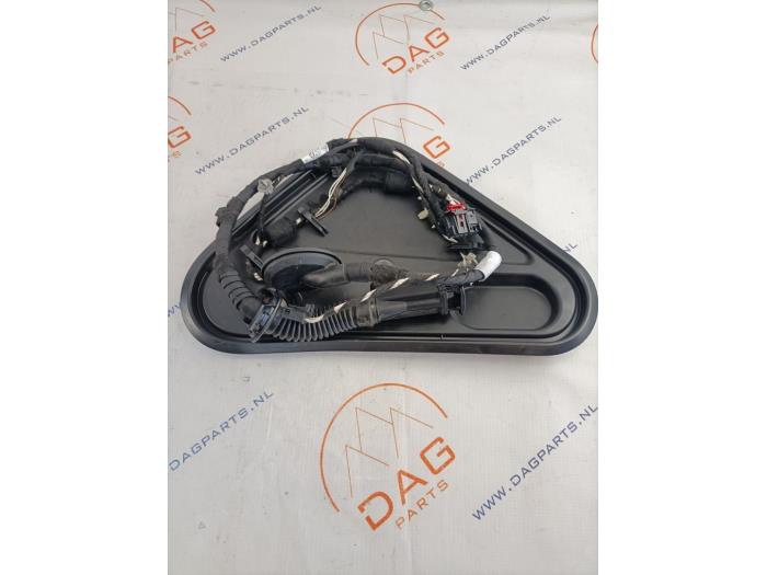 Rear door wiring loom