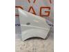 Front wing, right from a Renault Trafic New (JL), 2001 / 2015 2.0 dCi 16V 90, Minibus, Diesel, 1.995cc, 66kW (90pk), FWD, M9RE7, 2010-10 / 2015-02, JLAM; JLCH 2008