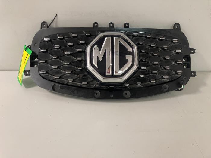 Używane Grill MG ZS Cena € 125,00 Procedura marży oferowane przez DVZ Carparts