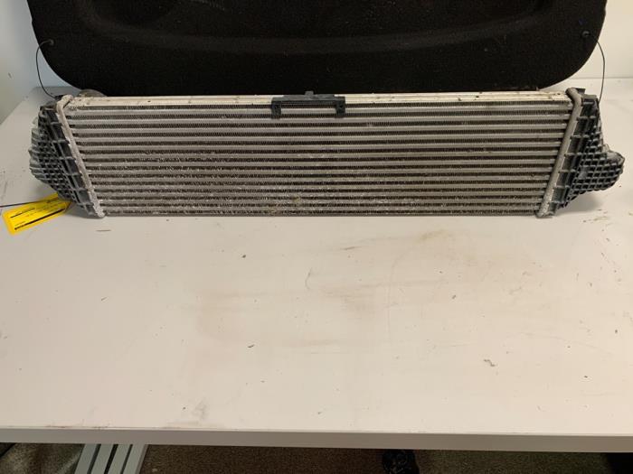 Usados Intercooler Ford Focus 4 1.0 Ti-VCT EcoBoost 12V 100 Precio € 149,99 Norma de margen ofrecido por DVZ Carparts