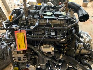 Used Engine Volkswagen Golf VIII (CD1) 2.0 GTI 16V Price € 3.999,99 Margin scheme offered by DVZ Carparts
