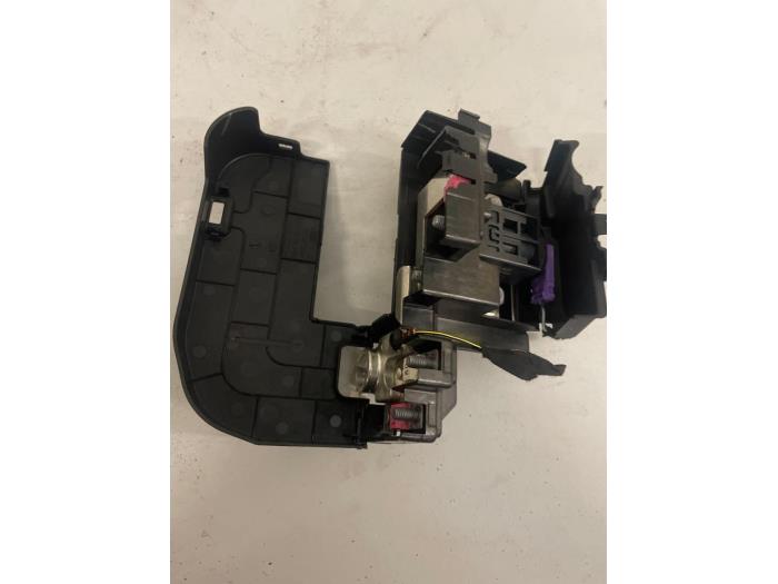 Używane Biegun akumulator Audi RS 3 Sportback (8VA/8VF) 2.5 TFSI 20V Quattro Cena € 75,00 Procedura marży oferowane przez DVZ Carparts