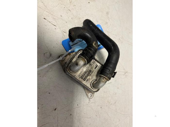 Usagé Radiateur d'huile Volkswagen Golf VII Variant (AUVV) 2.0 TDI 16V Prix € 60,49 Prix TTC proposé par DVZ Carparts