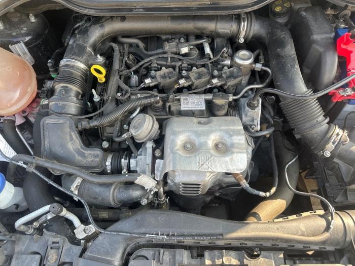 Używane Silnik Ford Fiesta 7 1.0 EcoBoost 12V 125 Cena € 2.250,00 Procedura marży oferowane przez DVZ Carparts