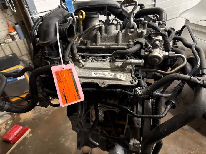Używane Silnik Volkswagen T-Cross 1.0 TSI 115 12V Cena € 650,00 Procedura marży oferowane przez DVZ Carparts