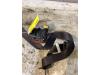 Peugeot Partner (GC/GF/GG/GJ/GK) 1.6 BlueHDi 100 Front seatbelt, right