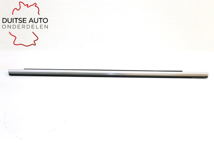 Door glass trim molding