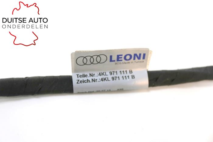 Faisceau de câbles d'un Audi e-tron (GEN) 55 quattro 2020