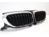 BMW 5 serie Touring (G31) 523d 2.0 TwinPower Turbo 16V Grill