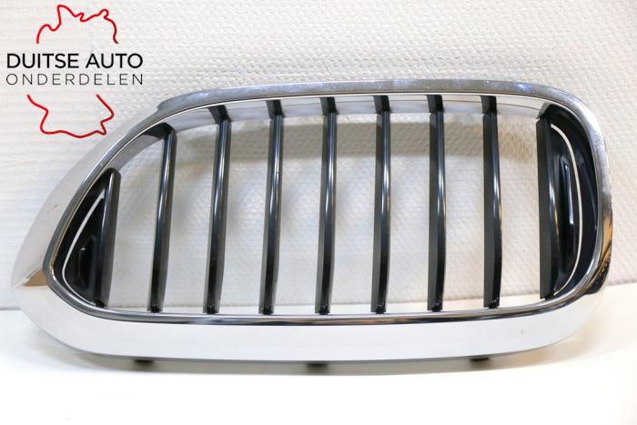 Begagnade Grill BMW 5 serie Touring (G31) 518d 2.0 TwinPower Turbo 16V Mild Hybrid Pris € 90,75 Inklusive moms erbjuds av Duitse Auto Onderdelen