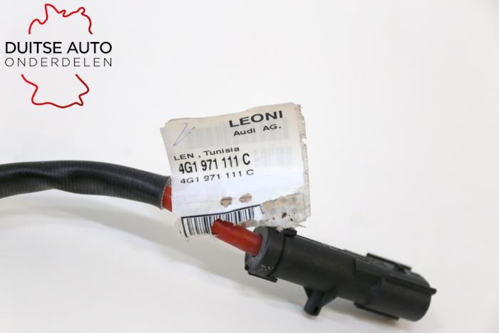 Cable (miscellaneous) from a Audi RS7 Sportback (4GA/4GF) 4.0 V8 TFSI Performance 32V 2017