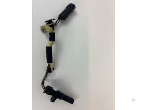 Used Wiring harness Ford Transit Custom 2.0 TDCi 16V Eco Blue 105 Price € 24,19 Inclusive VAT offered by WH Carparts