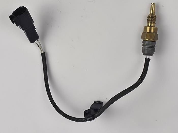 Gebrauchte Temperatursensor Motor Ford Grand C-Max (DXA) 1.0 Ti-VCT EcoBoost 12V 125 Preis € 24,20 Mit Mehrwertsteuer angeboten von WH Carparts