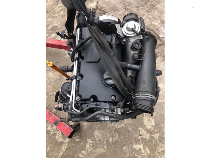Używane Silnik Volkswagen Golf V (1K1) 1.9 TDI Cena € 450,00 Procedura marży oferowane przez Umit Sloperij