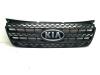 Grille from a Kia Picanto (BA), 2004 / 2011 1.0 12V, Hatchback, Petrol, 999cc, 45kW (61pk), FWD, G4HE, 2004-04 / 2011-04, BAGM21; BAH51; BAM51 2010