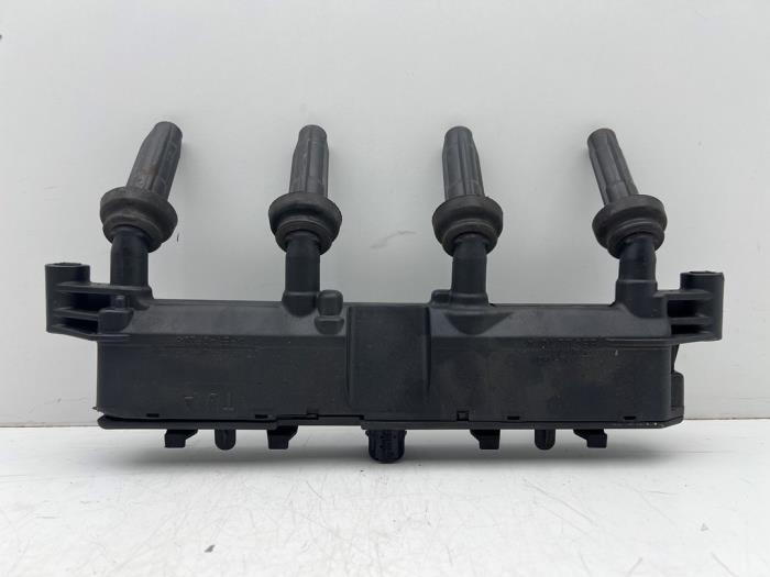 Gebrauchte Zündspule Peugeot 206 (2A/C/H/J/S) 1.4 XR,XS,XT,Gentry Preis € 25,00 Margenregelung angeboten von Autohandel & Demontage Weteringbrug
