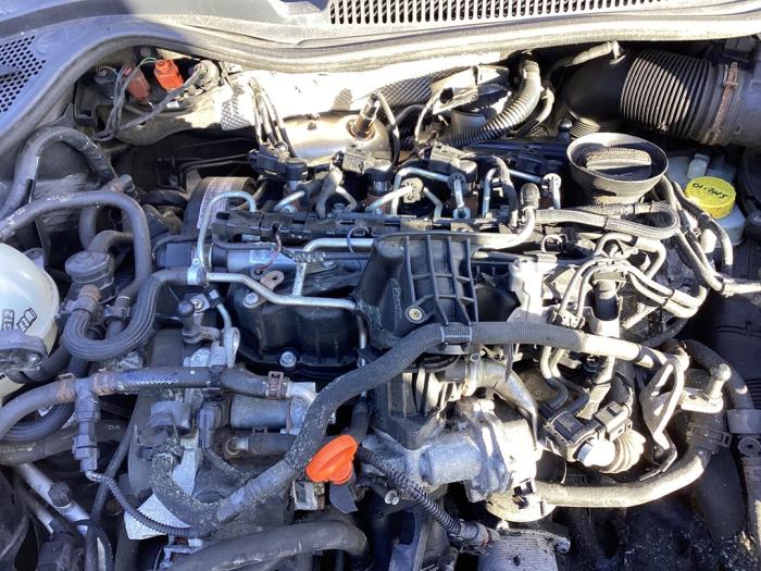 Używane Silnik Volkswagen Polo V (6R) 1.6 TDI 16V 90 Cena € 995,00 Procedura marży oferowane przez Autohandel & Demontage Weteringbrug