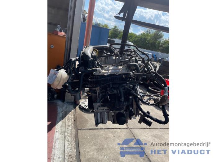 Używane Silnik Volkswagen Golf Sportsvan (AUVS) 1.0 TSI 12V BlueMotion Technology Cena € 1.950,00 Procedura marży oferowane przez Het Viaduct