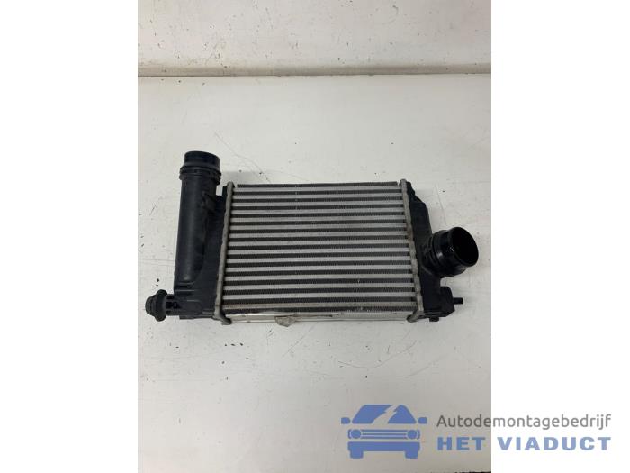 Usagé Intercooler Renault Kadjar (RFEH) 1.2 Energy TCE 130 Prix € 100,00 Règlement à la marge proposé par Het Viaduct