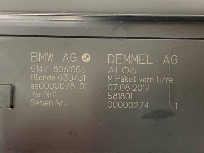 Step insert, left from a BMW 5 serie Touring (G31) 530d xDrive 3.0 TwinPower Turbo 24V 2019