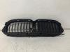 BMW 5 serie Touring (G31) 530d xDrive 3.0 TwinPower Turbo 24V Grill