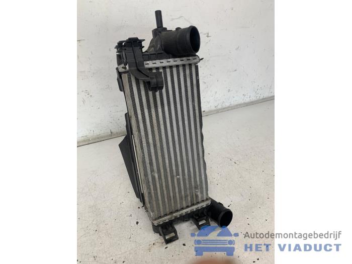 Intercooler Ford Focus 3 Wagon, 2010 / 2020 1.0 Ti-VCT EcoBoost 12V 125, Combi, Essence, 998cc, 92kW (125pk), FWD, M1DA; M1DD; M1DC, 2012-02 / 2018-05 (Occasion)