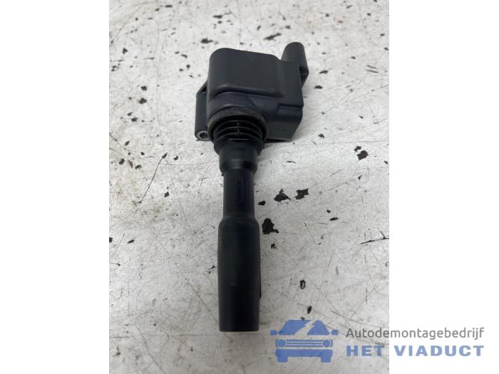 Begagnade Tändspole Skoda Kodiaq 1.5 TSI 150 ACT 16V Pris € 25,00 Marginaltabell erbjuds av Het Viaduct