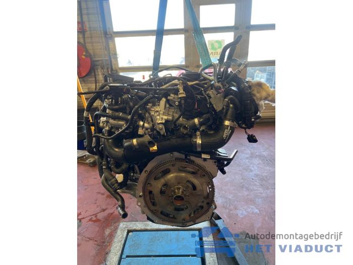 Używane Silnik Audi A4 Avant (B9) 2.0 TDI Ultra 16V Cena € 2.750,00 Procedura marży oferowane przez Het Viaduct