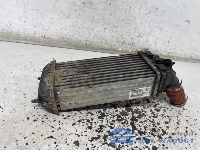 Usagé Intercooler Peugeot 2008 (CU) 1.5 BlueHDi 100 Prix € 60,00 Règlement à la marge proposé par Het Viaduct