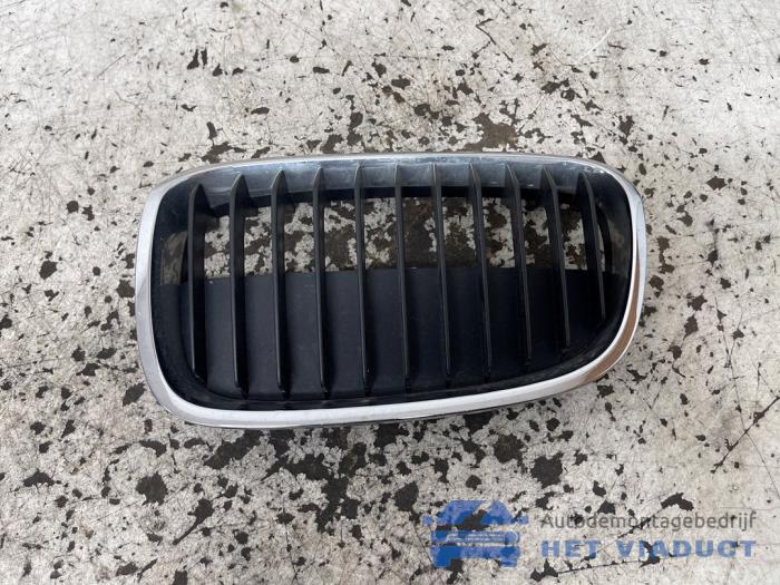 Begagnade Grill BMW 1 serie (F21) 116d 1.6 16V Efficient Dynamics Pris € 25,00 Marginaltabell erbjuds av Het Viaduct