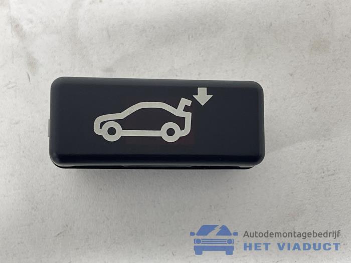 Tailgate/boot open switch button