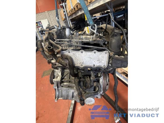 Gebrauchte Motor Volkswagen Golf VII (AUA) 1.2 TSI 16V Preis € 1.150,00 Margenregelung angeboten von Het Viaduct