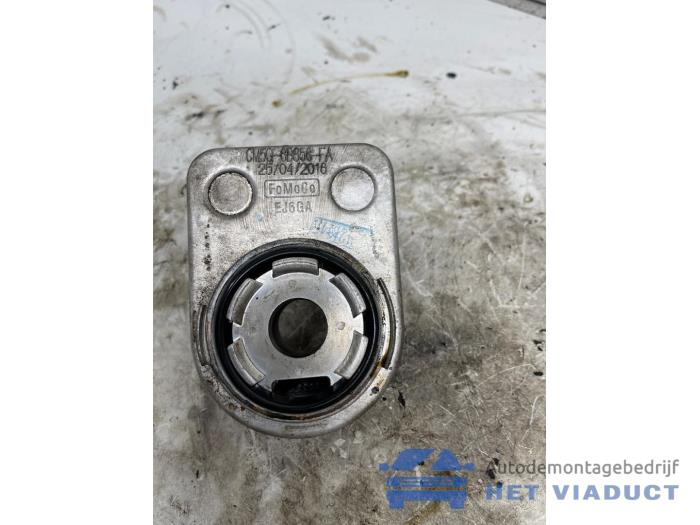 Gebrauchte Ölkühler Ford C-Max (DXA) 1.0 Ti-VCT EcoBoost 12V 125 Preis € 25,00 Margenregelung angeboten von Het Viaduct