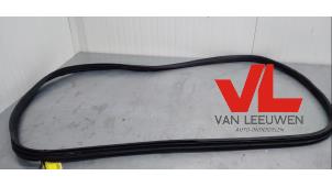 Used Front door seal 4-door, left Peugeot 207/207+ (WA/WC/WM) 1.4 16V Price € 28,50 Margin scheme offered by Van Leeuwen Auto Onderdelen