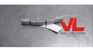 Gebrauchte Handgriff Citroen Xsara Picasso (CH) 1.8 16V Preis € 10,00 Margenregelung angeboten von Van Leeuwen Auto Onderdelen