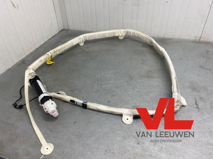 Airbag de toit