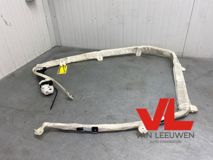 Roof airbag
