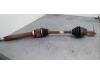 Front drive shaft, right from a Ford Fiesta 6 (JA8), 2008 / 2017 1.4 16V, Hatchback, Petrol, 1.388cc, 71kW (97pk), FWD, SPJC; EURO4, 2008-10 / 2017-06 2011