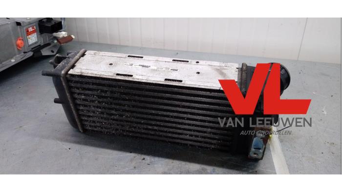 Usados Intercooler Peugeot 308 SW (4E/H) 1.6 16V THP 150 Precio € 10,00 Norma de margen ofrecido por Van Leeuwen Auto Onderdelen