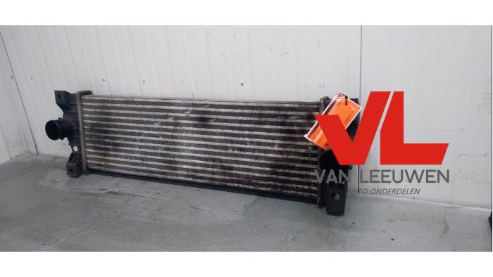 Usados Intercooler Ssang Yong Kyron 2.0 M 200 Xdi 16V 4x2 Precio € 40,00 Norma de margen ofrecido por Van Leeuwen Auto Onderdelen