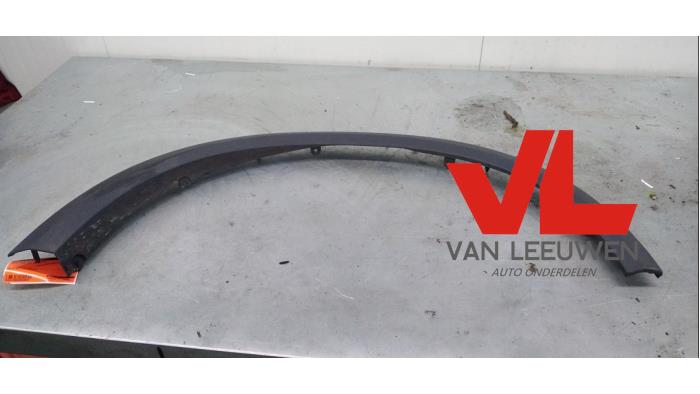 Wheel arch trim