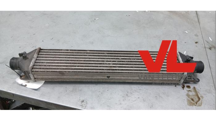 Intercooler Opel Combo, 2012 / 2018 1.3 CDTI 16V ecoFlex, Camionnette , Diesel, 1.248cc, 66kW (90pk), FWD, A13FD, 2012-02 / 2018-12 (Occasion)