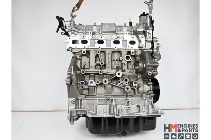 Engine Ford Transit 2.0 TDCi 16V Eco Blue 170 - 2339687 BLFA
