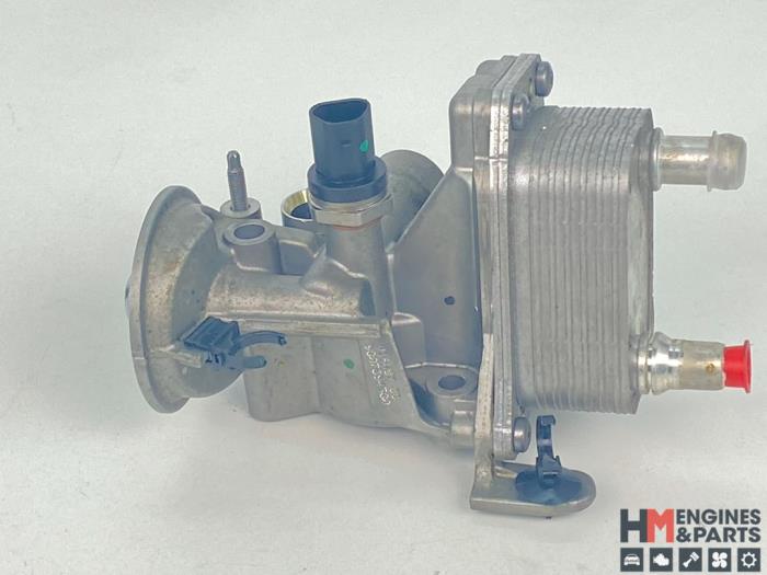 Gebrauchte Ölfiltergehäuse Peugeot Expert (V1/VA/VB/VE/VF/VT/VY) 2.0 Blue HDi 120 16V Preis € 72,60 Mit Mehrwertsteuer angeboten von HM Engines & Parts